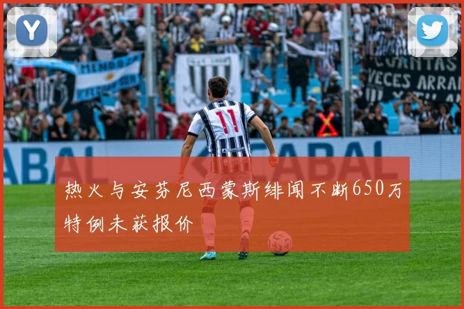 热火与安芬尼西蒙斯绯闻不断650万特例未获报价